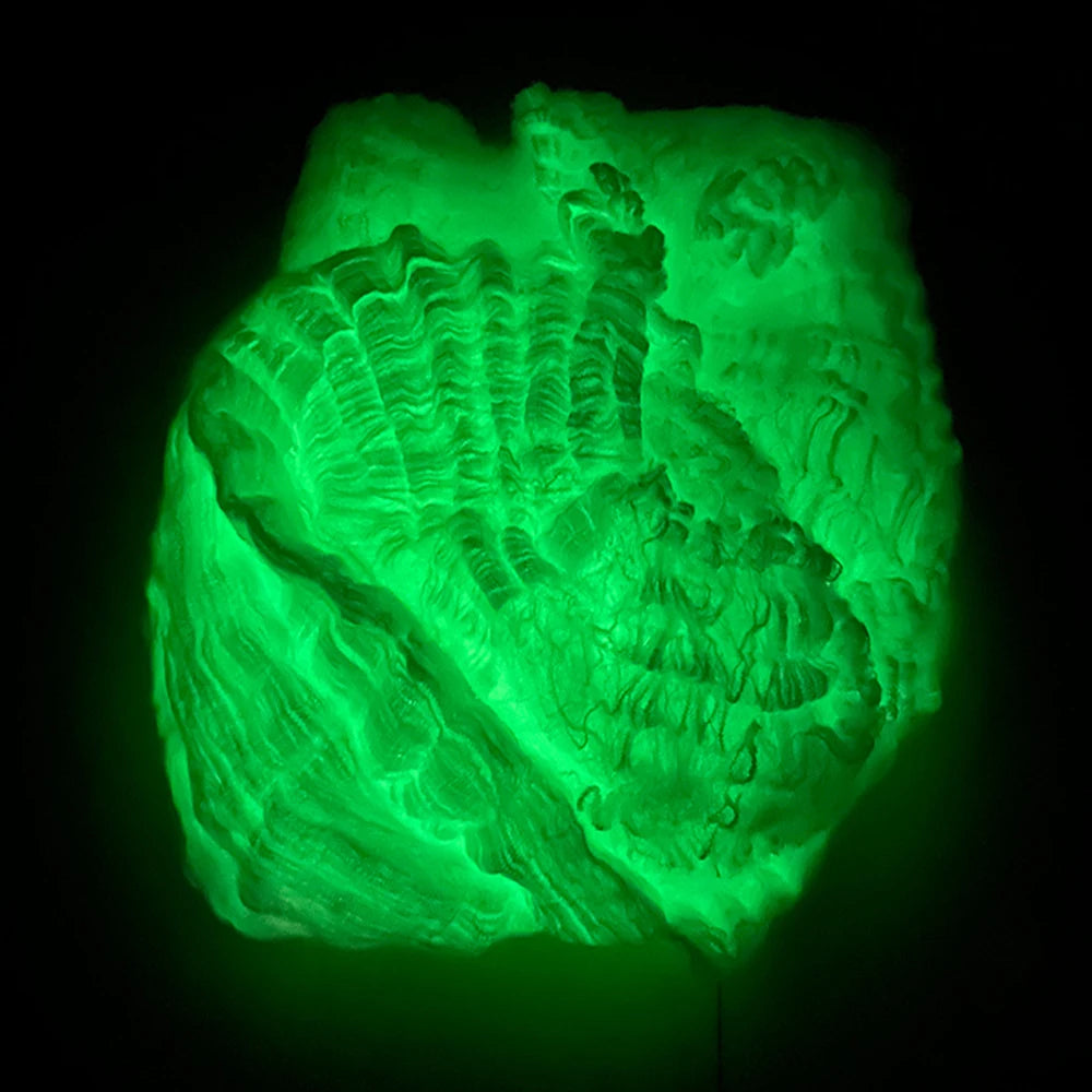 🕷️Halloween Fluorescent Spider Webs Glow In The Dark Spider Webs Horror Decorations💖